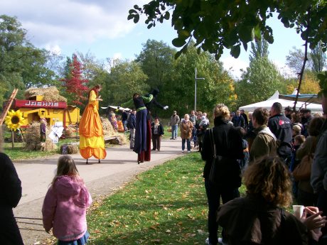 Potsdam Apfelfest 3.10.2008 Bild 3
